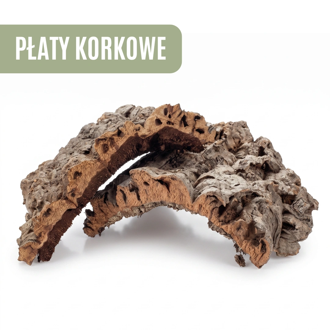 Jak wybrać płaty korkowe do terrarium? Praktyczny poradnik dla hodowców